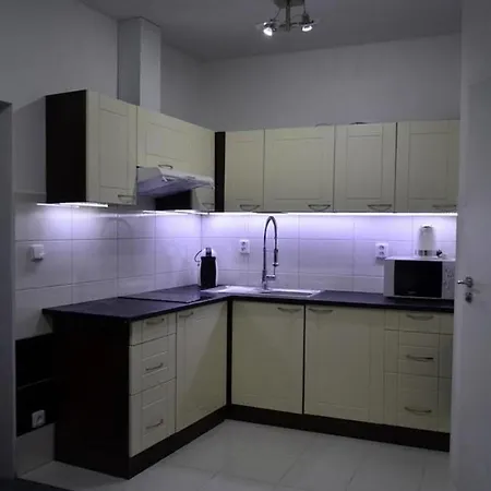 Skorkovskeho Business Apartamento Brno