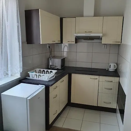 Apartamento Skorkovskeho Business Brno