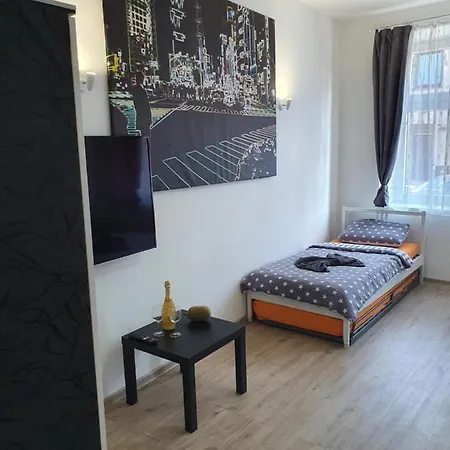 Skorkovského Business Apartmán *