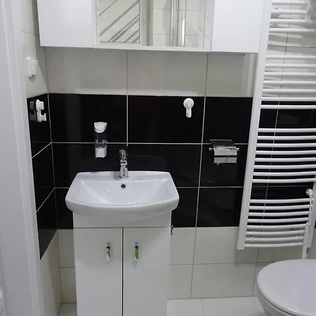 Apartament Skorkovskeho Business *