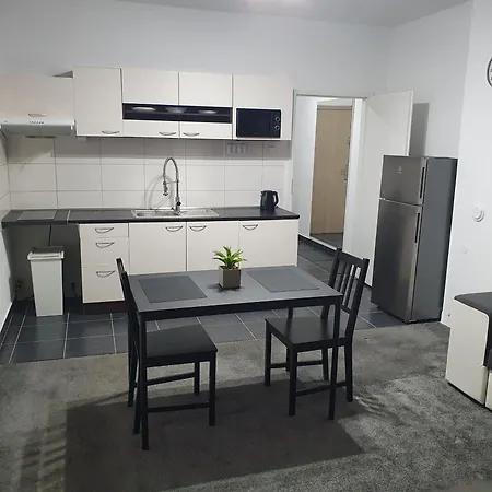 Apartmán Skorkovského Business