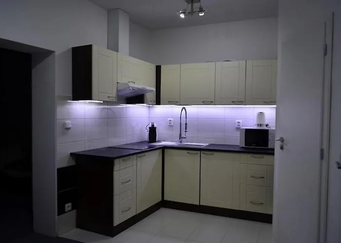Skorkovskeho Apartman Brünn (Brno)